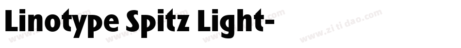 Linotype Spitz Light字体转换